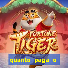 quanto paga o jungle fight